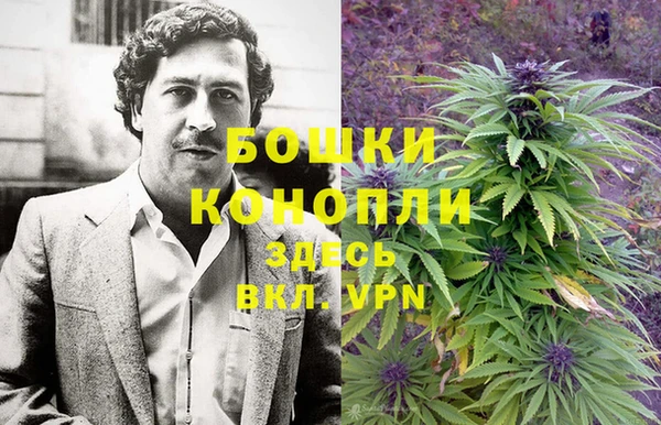 дживик Богданович