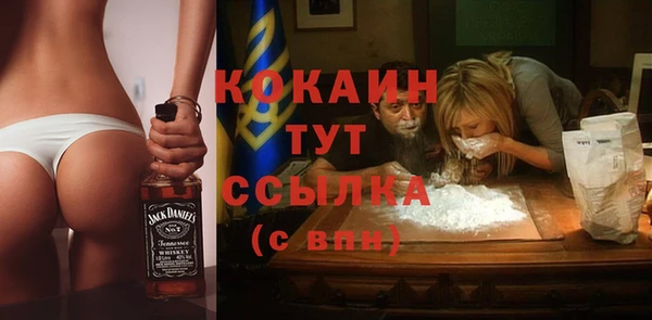 мдпв Богородск