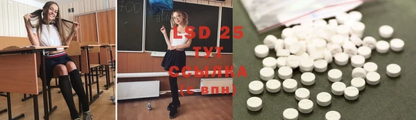 дживик Богданович