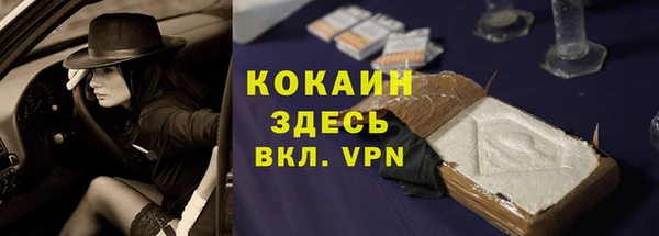 дживик Богданович
