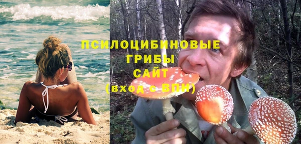 дживик Богданович