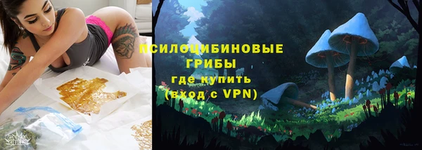 мдпв Богородск