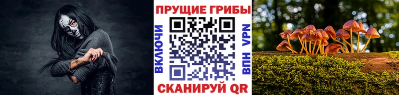 кракен рабочий сайт Демидов Галлюциногенные грибы мухоморы